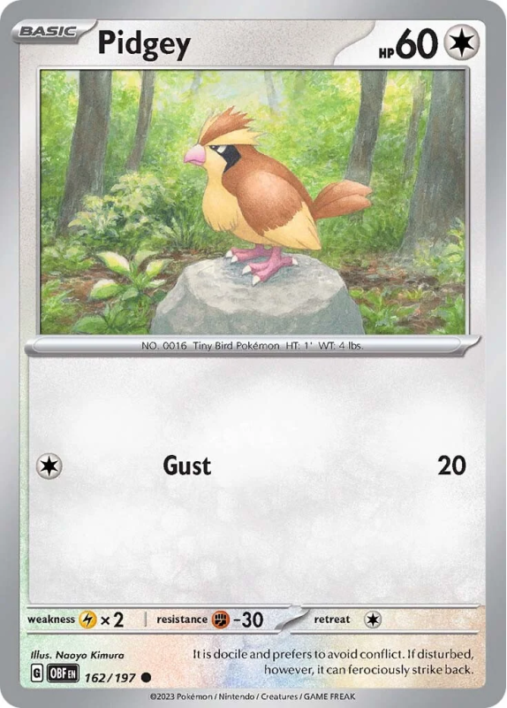 162/197 Pidgey
