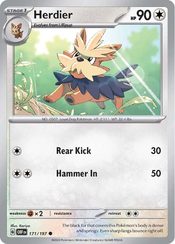 171/197 Herdier