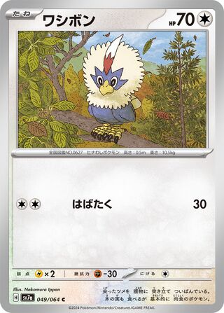 049/064 Rufflet