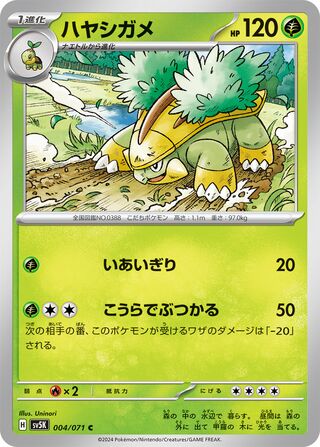 004/071 Grotle