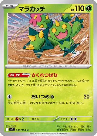 006/100 Maractus