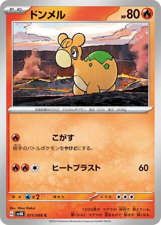 011/066 Numel