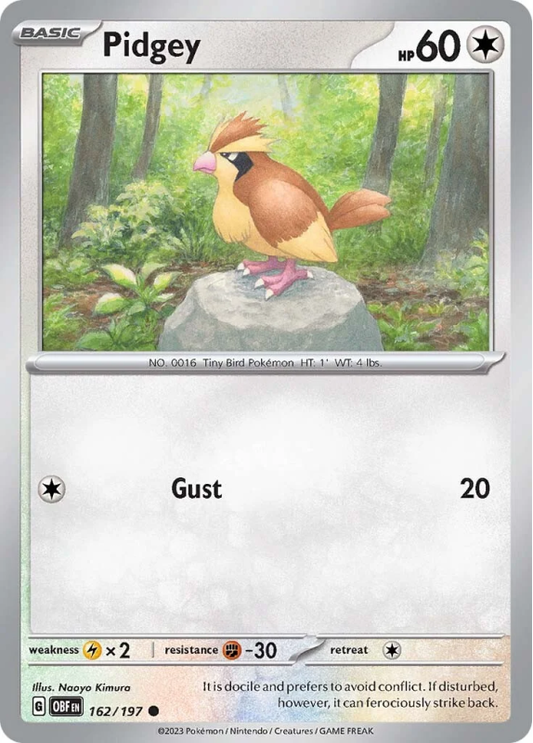 162/197 Pidgey
