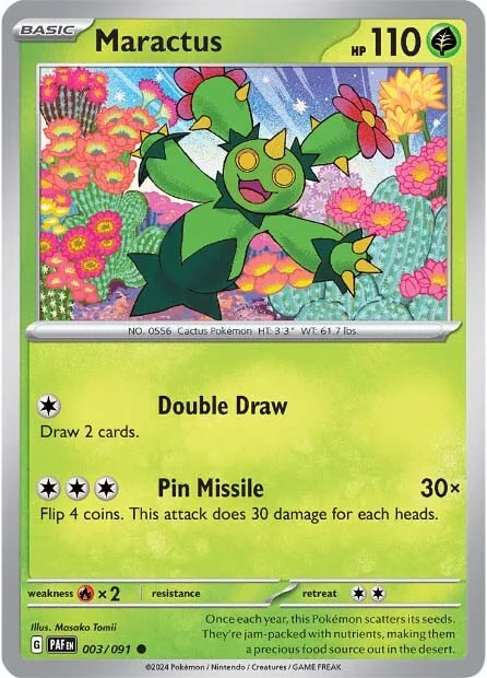 003/091 Maractus