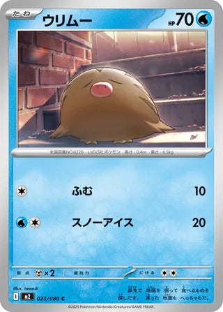 023/080 Swinub