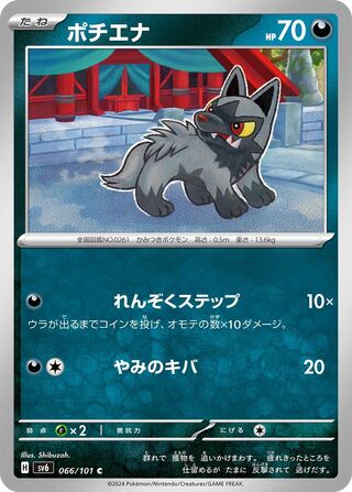 066/101 Poochyena