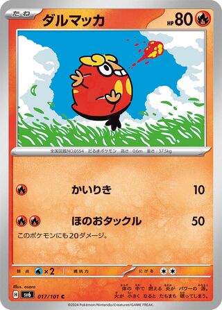 017/101 Darumaka