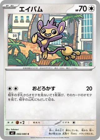 066/080 Aipom