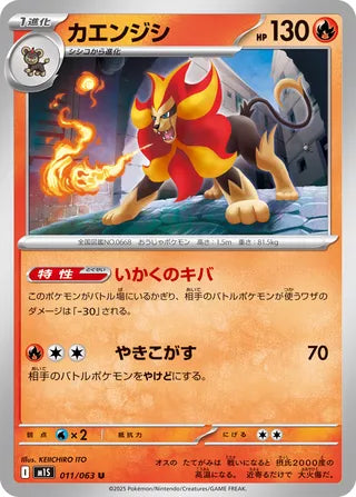 011/063 Pyroar
