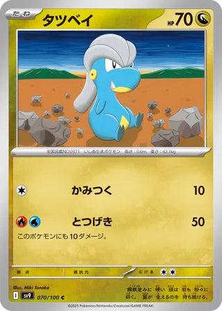 070/100 Bagon