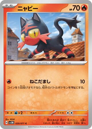 020/071 Litten