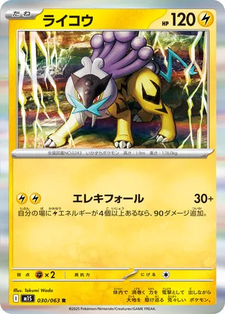 030/063 Raikou