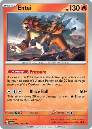 030/197 Entei