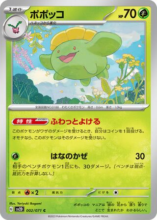 002/071 Skiploom