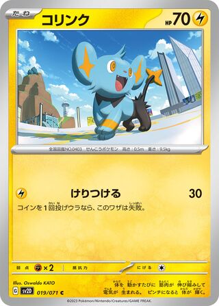 019/071 Shinx