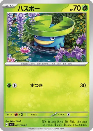 005/080 Lotad