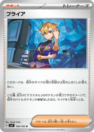 100/102 Briar