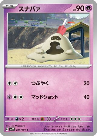 029/071 Sandygast