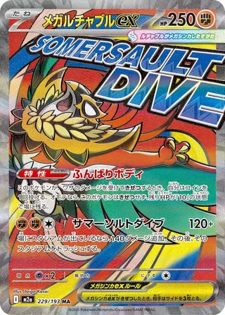 229/193 Mega Hawlucha ex
