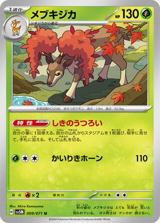 009/071 Sawsbuck