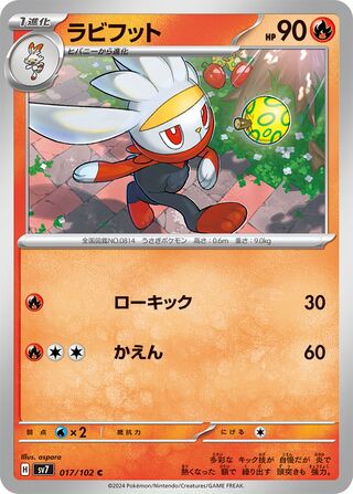 017/102 Raboot
