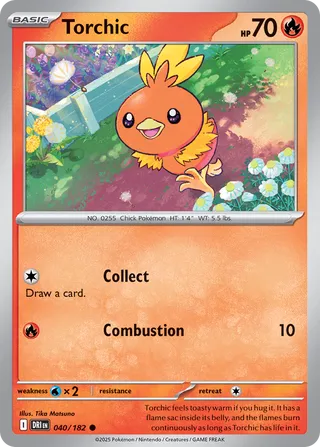 040/182 Torchic