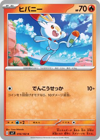 016/102 Scorbunny