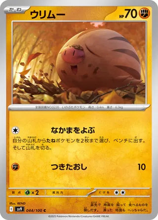 044/100 Swinub
