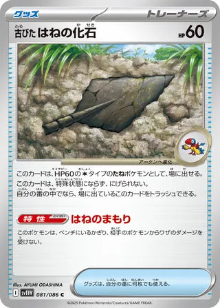 081/086 Antique Plume Fossil
