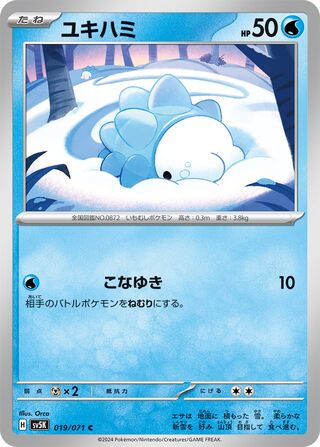 019/071 Snom