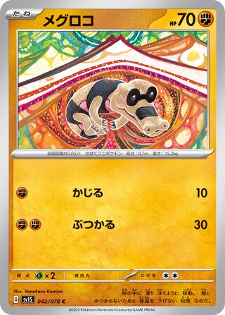 042/078 Sandile