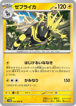024/066 Zebstrika