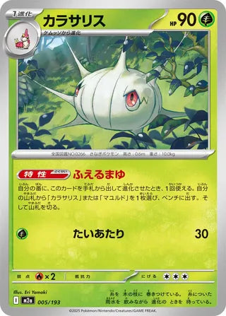 005/193 Silcoon