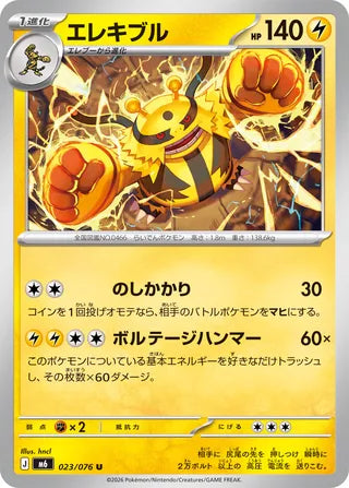 023/076 Electivire