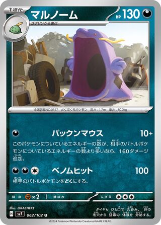 062/102 Swalot