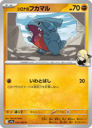 042/063 Cynthia's Gible