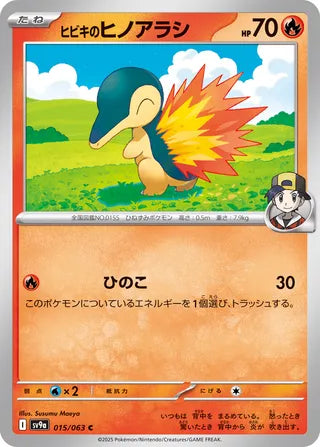 015/063 Ethan's Cyndaquil
