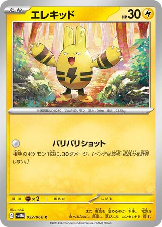 022/066 Elekid