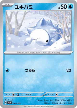 040/193 Snom